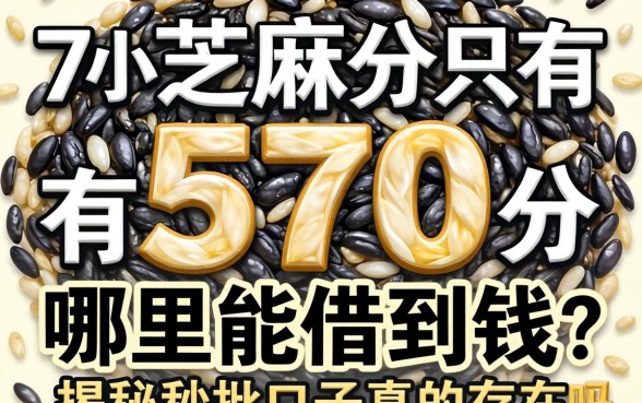 芝麻分只有570分哪里能借到钱？揭秘秒批口子真的存在吗？