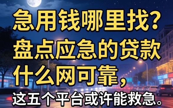 深夜急用钱哪里找？盘点应急用的贷款什么网可靠，这五个平台或许能救急