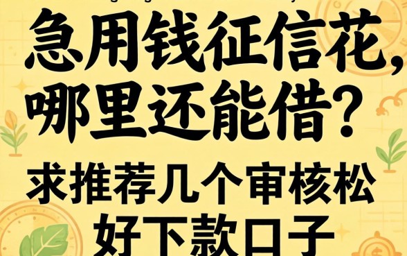 急用钱征信花哪里还能借？求推荐几个审核松好下款的口子！