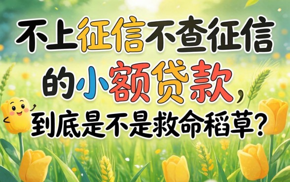 不上征信不查征信的小额贷款，到底是不是救命稻草？