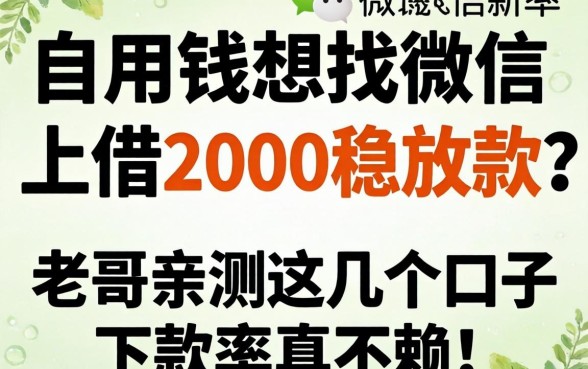 急用钱想找微信上借2000稳放款的？老哥亲测这几个口子下款率真不赖！
