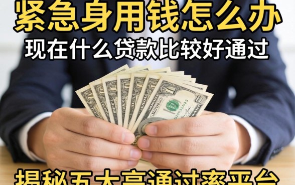 手头紧急需用钱怎么办？现在什么贷款比较好通过？揭秘五大高通过率平台