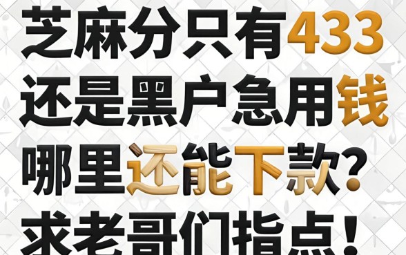 芝麻分只有433还是黑户,急用钱哪里还能下款?求老哥们指点!