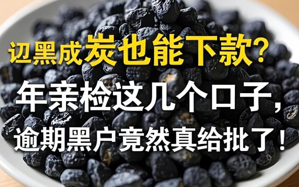 征信黑成炭也能下款？2026年亲测这几个口子，逾期黑户竟然真给批了！
