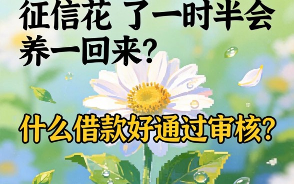 征信花了一时半会养不回来,什么借款好通过审核?