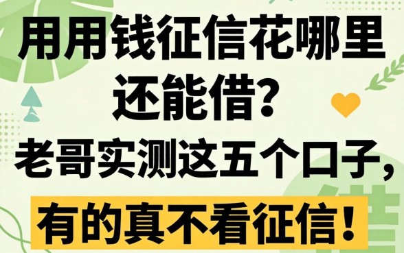 急用钱征信花哪里还能借？老哥实测这五个口子，有的真不看征信！