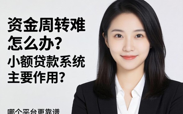 小微企业资金周转难怎么办？小额贷款系统主要作用是什么？哪个平台更靠谱？