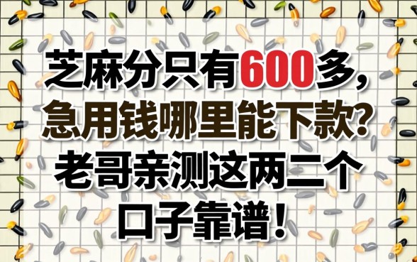 芝麻分只有600多,急用钱哪里能下款?老哥亲测这几个口子靠谱!