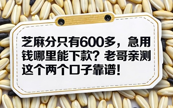 芝麻分只有600多,急用钱哪里能下款?老哥亲测这几个口子靠谱!