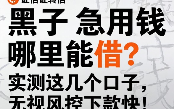 征信黑了急用钱哪里能借?实测这几个口子,无视风控下款快!