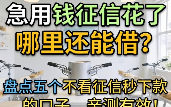 急用钱征信花了哪里还能借?盘点五个不看征信秒下款的口子,亲测有效!