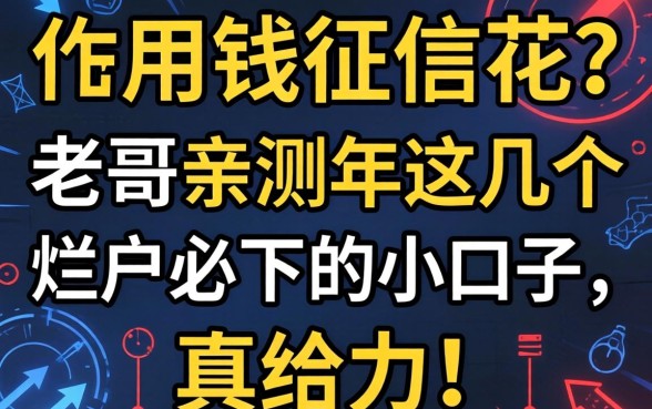 急用钱征信花?老哥亲测2026年这几个烂户必下的小口子,真给力!