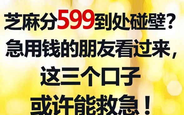 芝麻分599到处碰壁？急用钱的朋友看过来，这几个口子或许能救急！