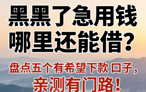 征信黑了急用钱哪里还能借？盘点五个有希望下款的口子，亲测有门路！