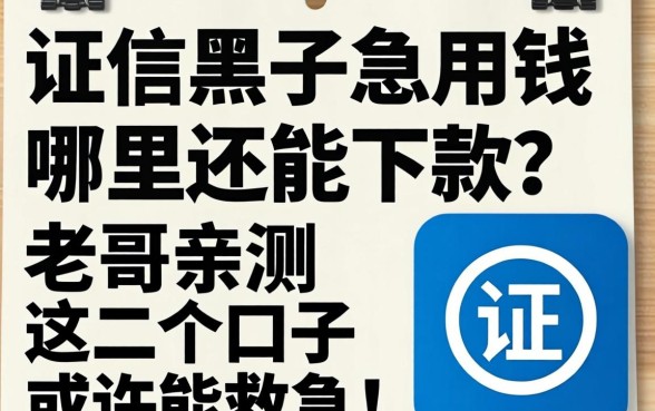 征信黑了急用钱哪里还能下款？老哥亲测这几个口子或许能救急！