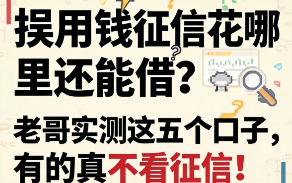 急用钱征信花哪里还能借？老哥实测这五个口子，有的真不看征信！