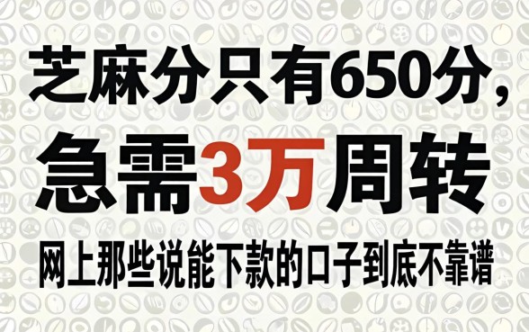芝麻分只有650分,急需3万周转,网上那些说能下款的口子到底靠不靠谱?