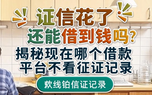 征信花了还能借到钱吗?揭秘现在哪个借款平台不看征信记录