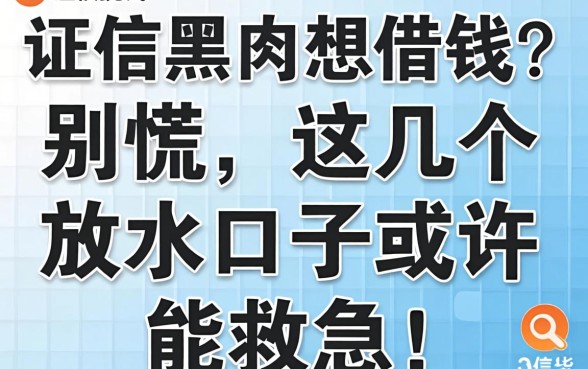 征信黑户想借钱？别慌，这几个放水口子或许能救急！