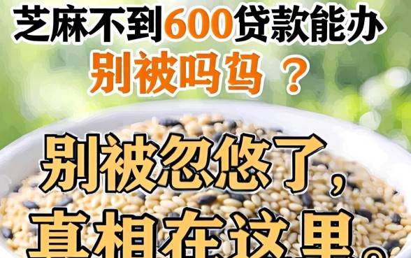 芝麻不到600贷款能办吗？别被忽悠了，真相在这里