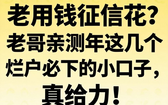 急用钱征信花?老哥亲测2026年这几个烂户必下的小口子,真给力!