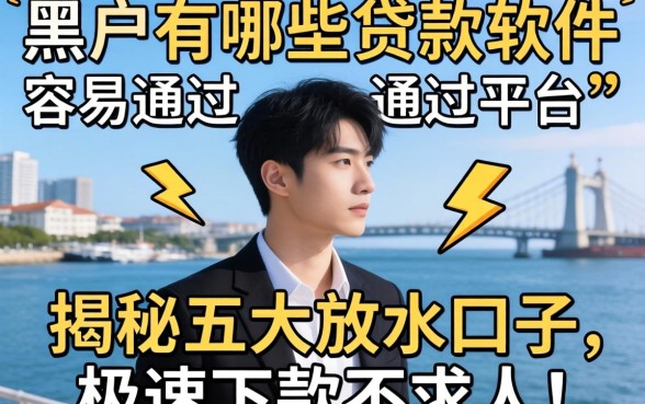 黑户有哪些贷款软件容易通过的平台?揭秘五大放水口子,极速下款不求人!