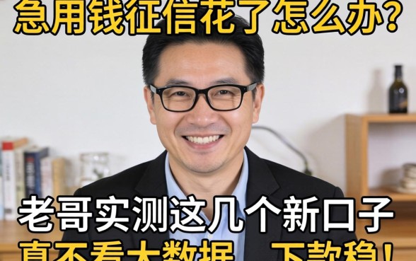 急用钱征信花了怎么办？老哥实测2026这几个新口子真不看大数据，下款稳！