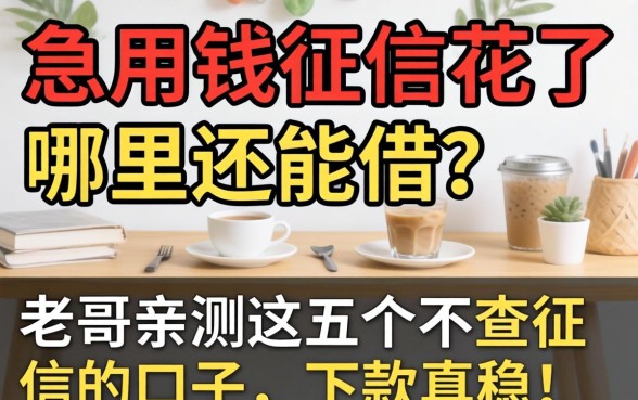 急用钱征信花了哪里还能借？老哥亲测这五个不查征信的口子，下款真稳！