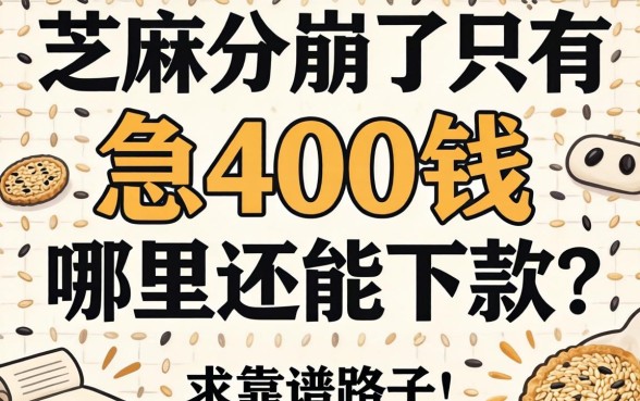 芝麻分崩了只有400多，急用钱哪里还能下款？求靠谱路子！