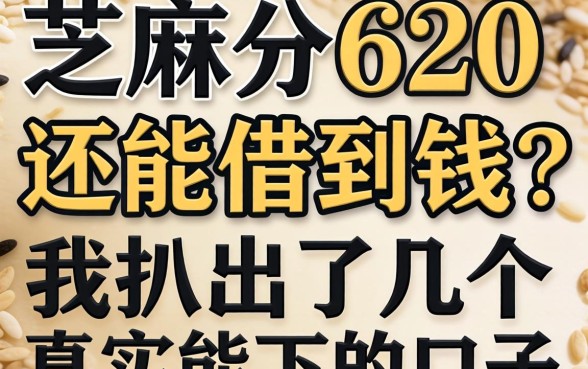 芝麻分620还能借到钱?我扒出了几个真实能下的口子