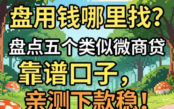 急用钱哪里找?盘点五个类似微商贷的靠谱口子,亲测下款稳!