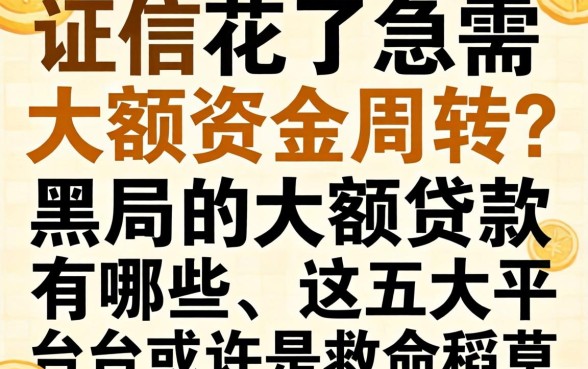 征信花了急需大额资金周转？2026黑户的大额贷款有哪些，这五大平台或许是救命稻草