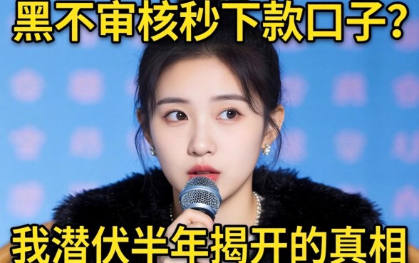 双黑不审核秒下款口子？我潜伏半年揭开的真相