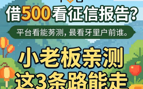 什么平台借500不看征信报告？小老板亲测，这3条路能走