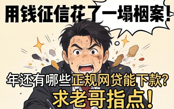 急用钱征信花了一塌糊涂，2026年还有哪些正规网贷能下款？求老哥指点！