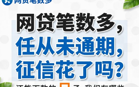 网贷笔数多但从未逾期,征信花了吗?还能下款的口子有哪些?