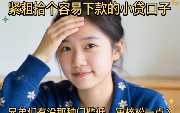 手头紧想找个容易下款的小贷口子,兄弟们有没有那种门槛低、审核松一点的推荐?
