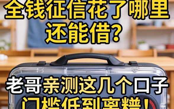 急需用钱征信花了哪里还能借？老哥亲测这几个口子门槛低到离谱！