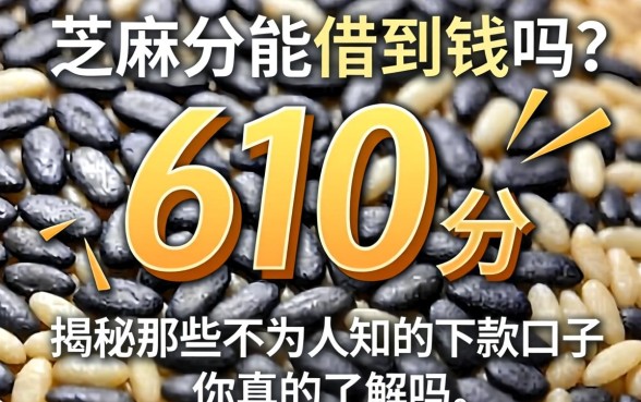 芝麻分610分能借到钱吗？揭秘那些不为人知的下款口子，你真的了解吗？
