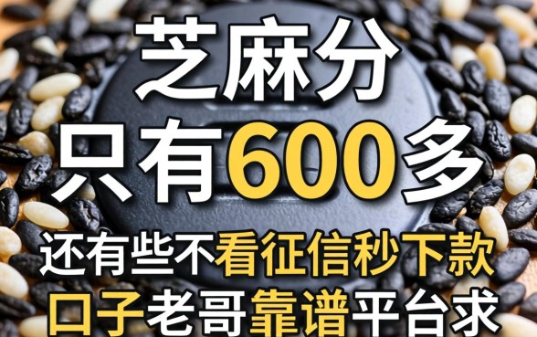 芝麻分只有600多，还有哪些不看征信秒下款的口子？求老哥推荐靠谱平台！