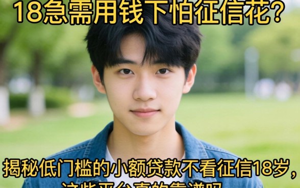 刚满18岁急需用钱又怕征信花？揭秘低门槛的小额贷款不看征信18岁，这些平台真的靠谱吗？