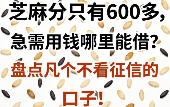 芝麻分只有600多，急需用钱哪里能借？盘点几个不看征信的口子！