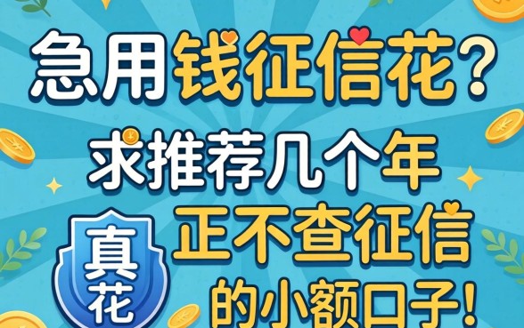 急用钱征信花？求推荐几个2026年真正不查征信的小额口子！