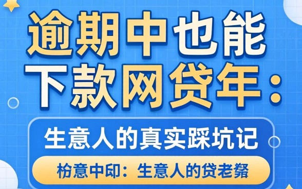 逾期中也能下款的网贷2026年：生意人的真实踩坑记
