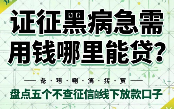 征信黑户急需用钱哪里能贷?盘点五个不查征信的线下放款口子