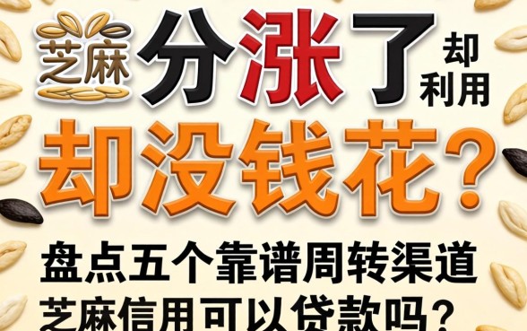 芝麻分涨了却没钱花?利用芝麻信用可以贷款吗?盘点五个靠谱周转渠道