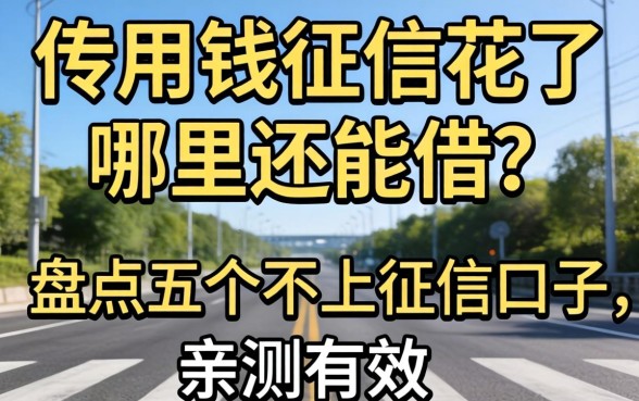 急用钱征信花了哪里还能借？盘点五个不上征信的口子，亲测有效！