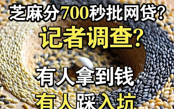 芝麻分700秒批网贷？记者调查：有人拿到钱，有人踩进坑