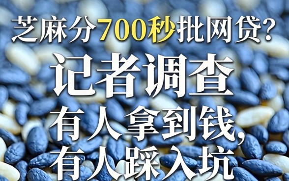 芝麻分700秒批网贷？记者调查：有人拿到钱，有人踩进坑