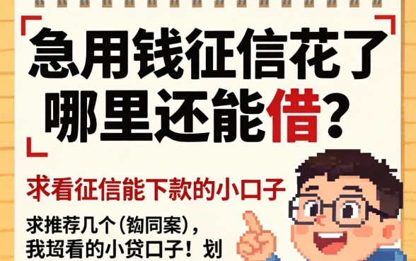 急用钱征信花了哪里还能借?求推荐几个不看征信能下款的小贷口子!